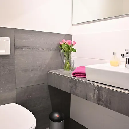 Sasano Mountain View Apartment Schladming